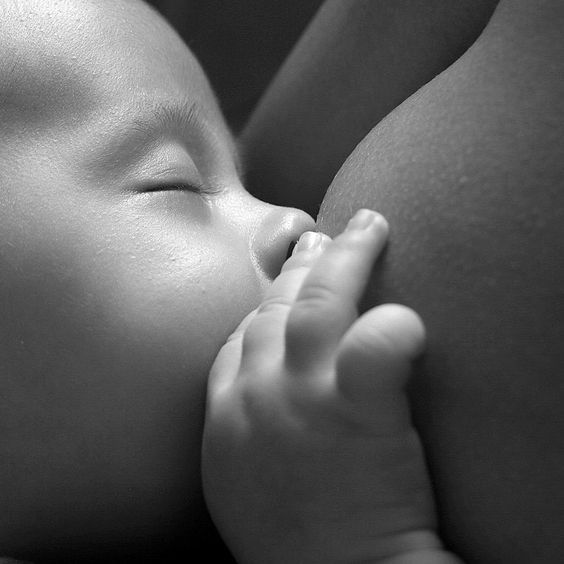 Lee más sobre el artículo La importancia de la Lactancia Materna