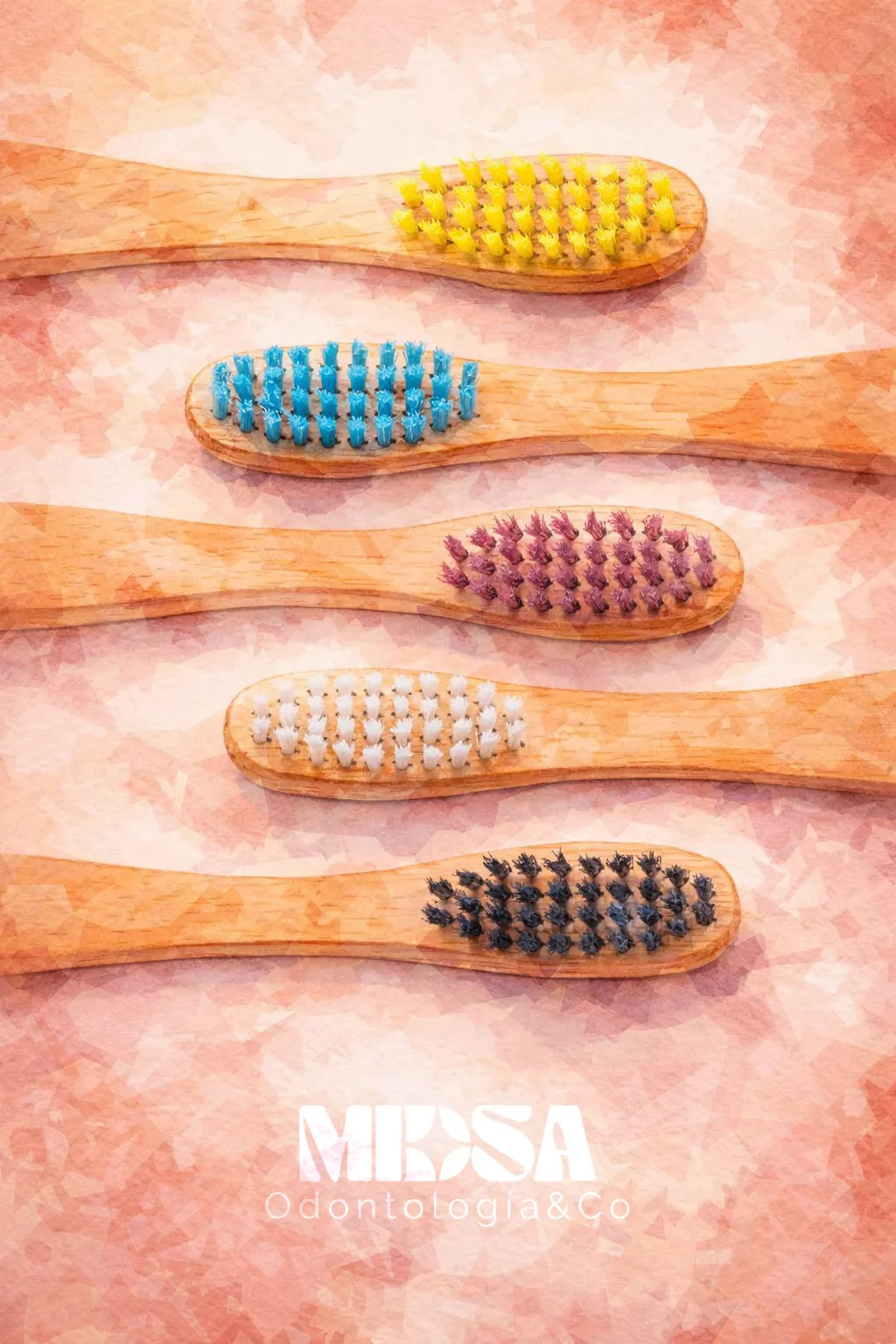 MIDSA Clinic Valencia